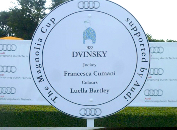 Dvinsky, Sponsorship